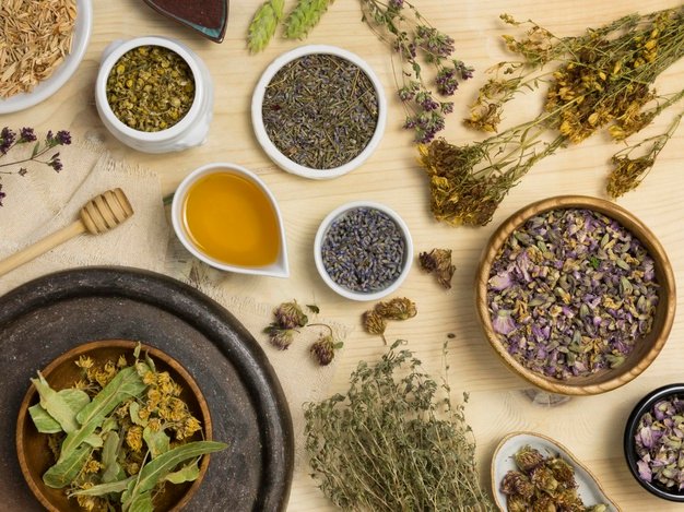 diploma in ayurvedic pharmacy