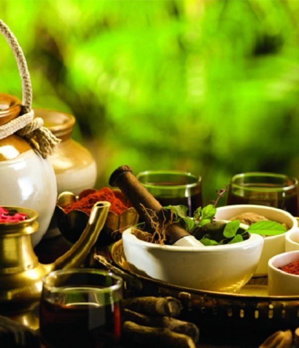 diploma in naturopathy